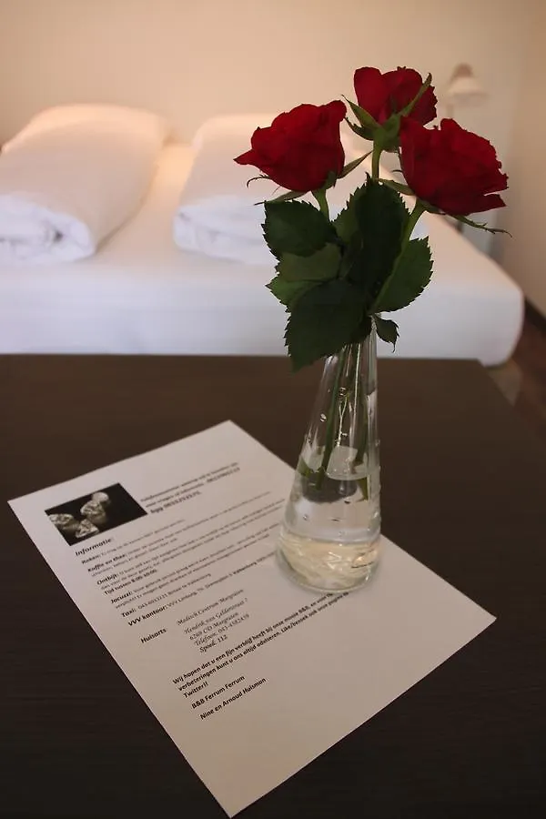 Ferrum Ferrum Valkenburg aan de Geul Couette-café